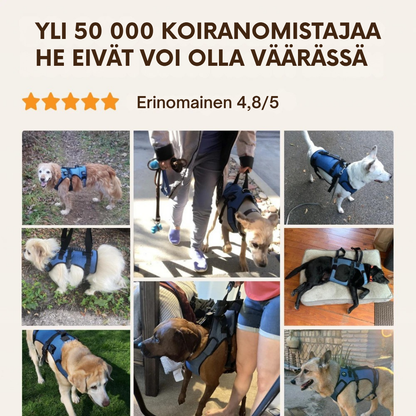 Danevo-liikkuvuusvaljaat