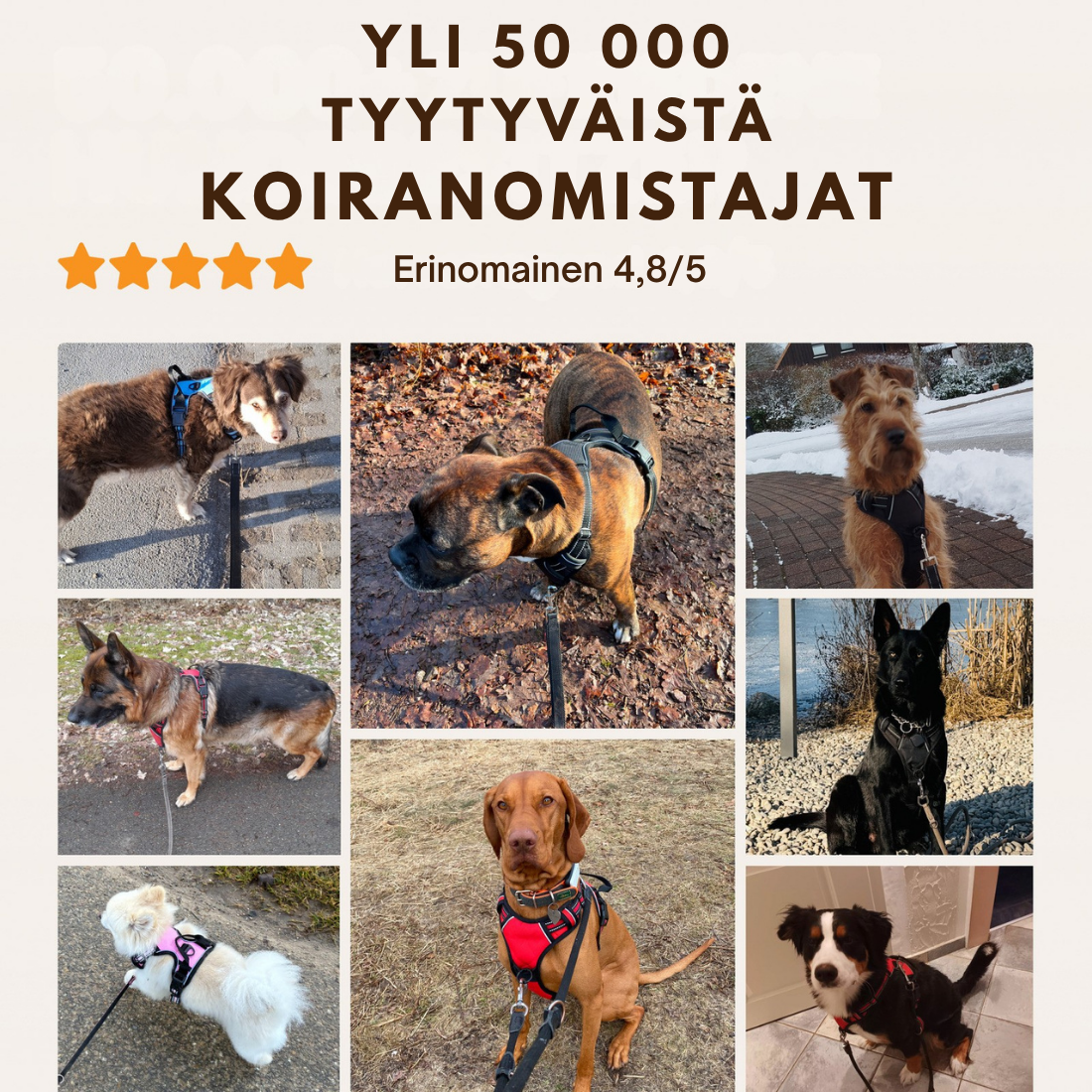 Danevo Ei-Veto-Valjaat