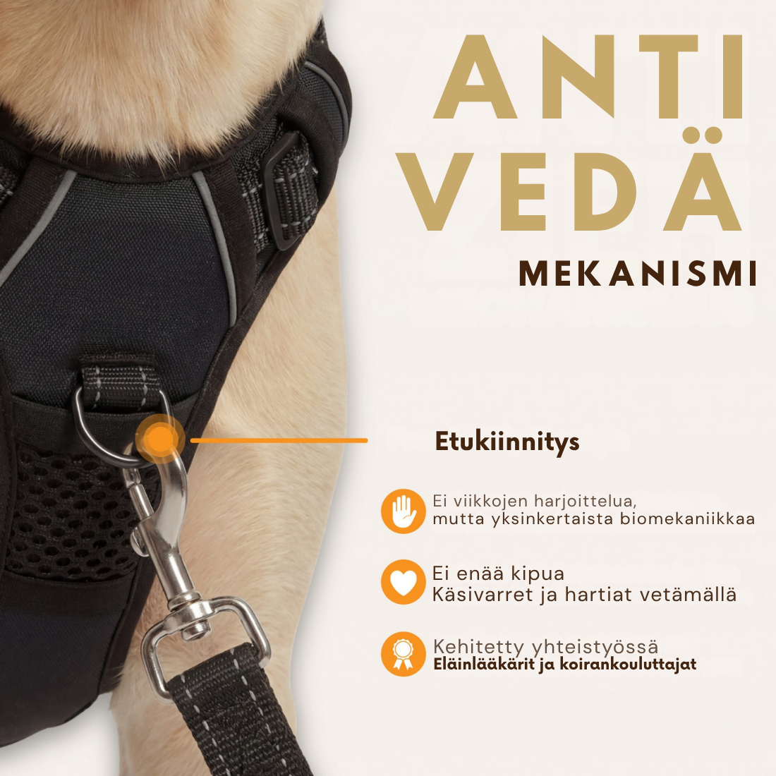 Danevo Ei-Veto-Valjaat