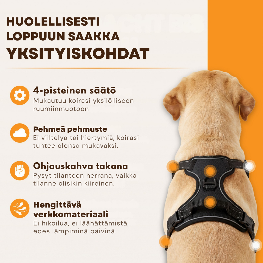 Danevo Ei-Veto-Valjaat