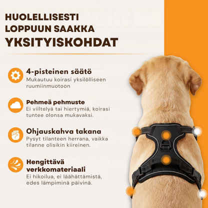 Danevo Ei-Veto-Valjaat